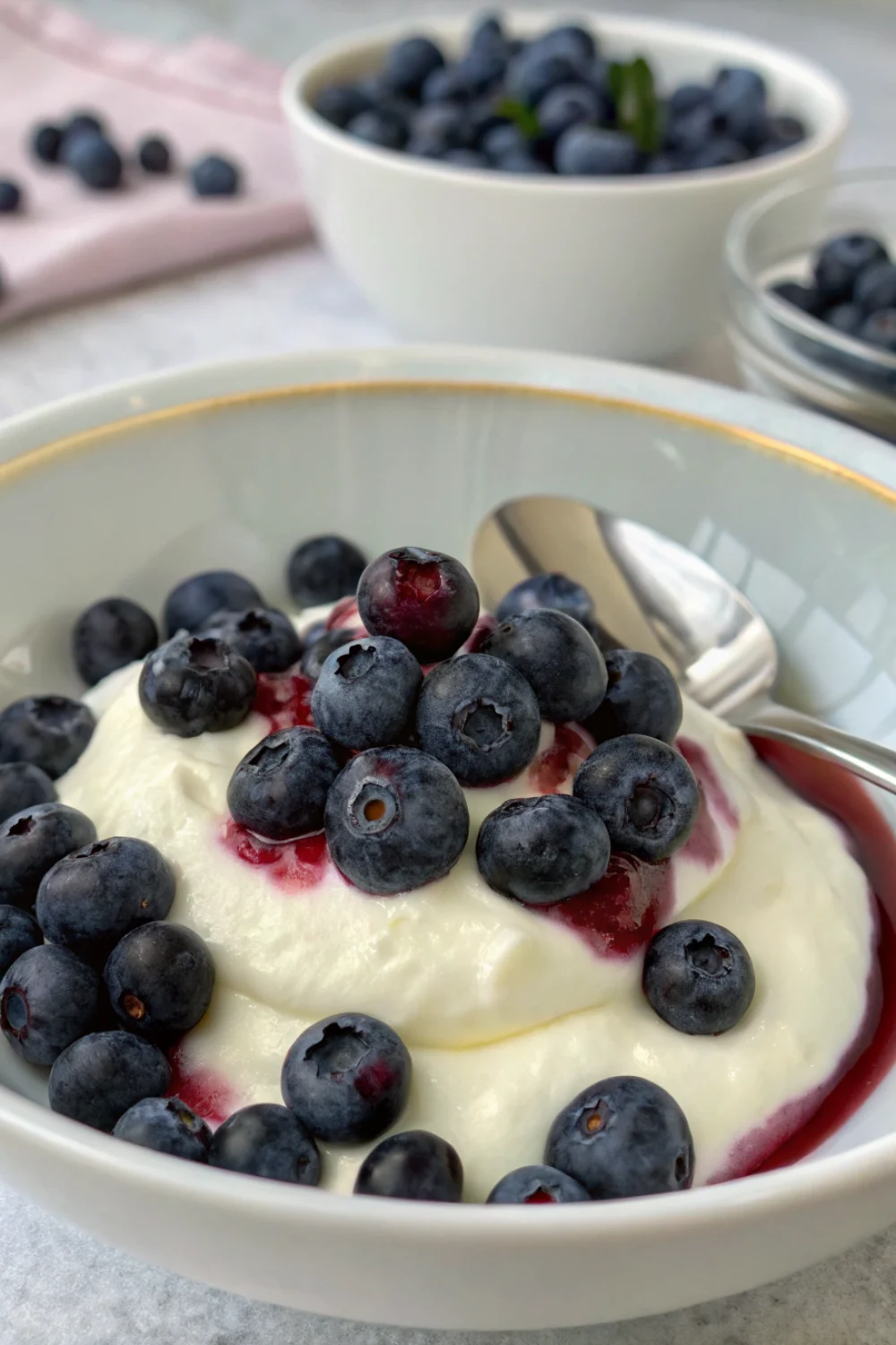 glace yaourt myrtilles